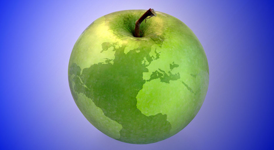 Food Services World Wide specialises in sourcing and purchasing commodities, ingredients, packaging, etc., for the food service/QSR sector in the UK and beyond Photo: Food Services World Wide specialises in sourcing and purchasing commodities, ingredients, packaging, etc., for the food service/QSR sector in the UK and beyond